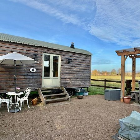 Bron Hafren Bed & Breakfast Монтгомъри Екстериор снимка
