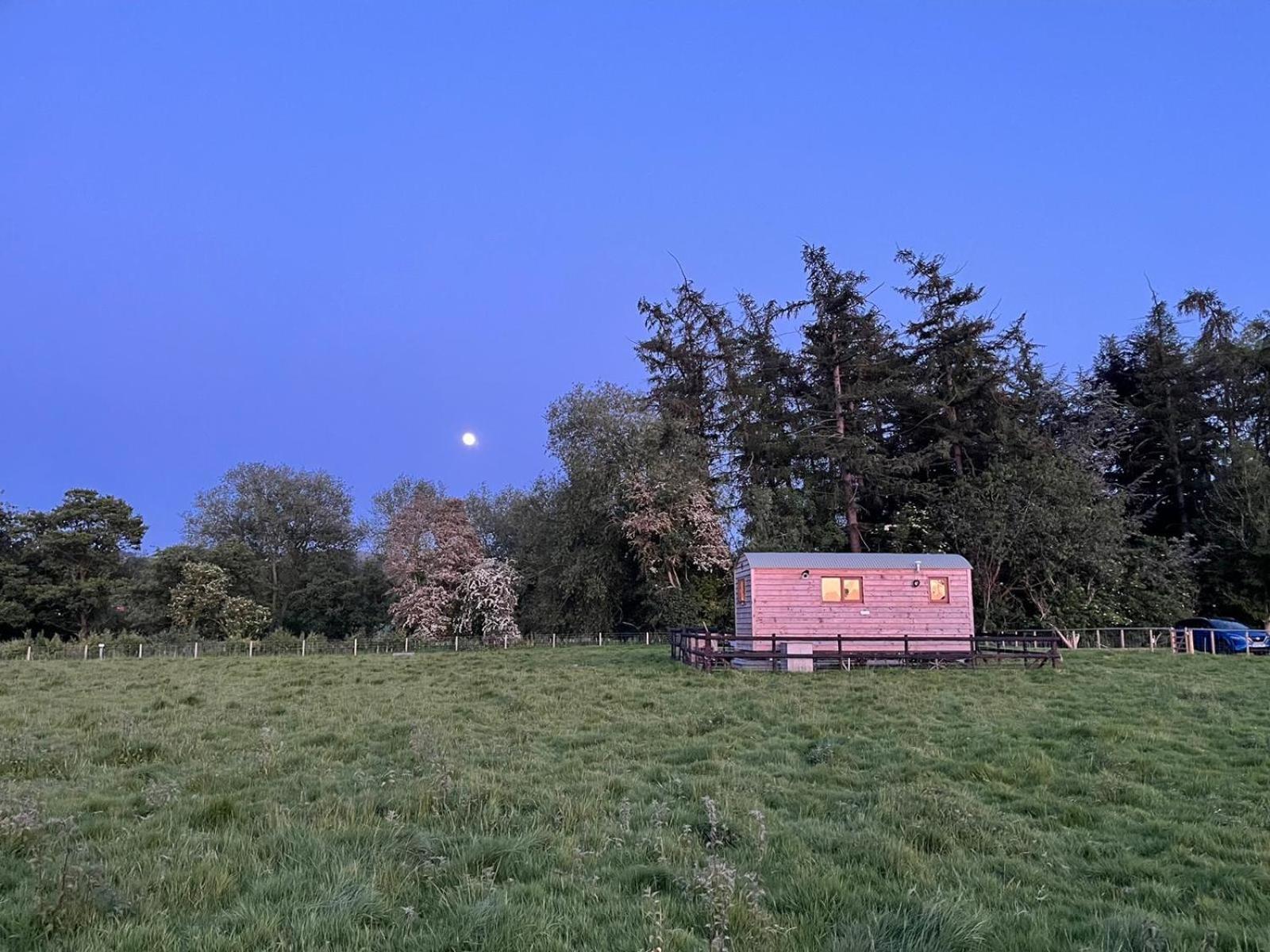 Bron Hafren Bed & Breakfast Монтгомъри Екстериор снимка